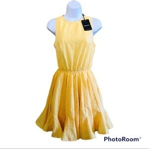 Maggie Sweet Gingham Fit & Flare Sleeveless Dress Size S